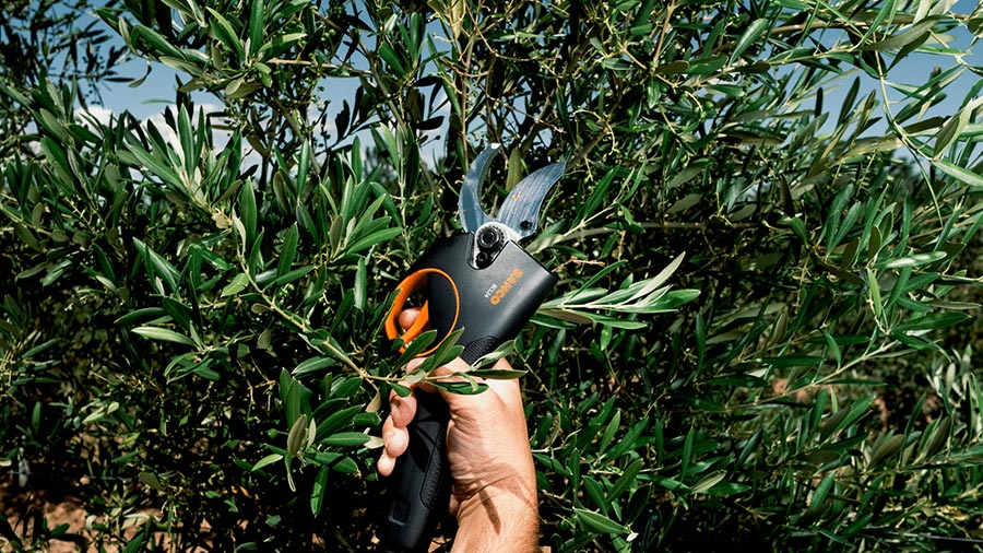 sécateur électrique 45 mm BCL24 Bahco sécateur électrique 45 mm BCL24 Bahco